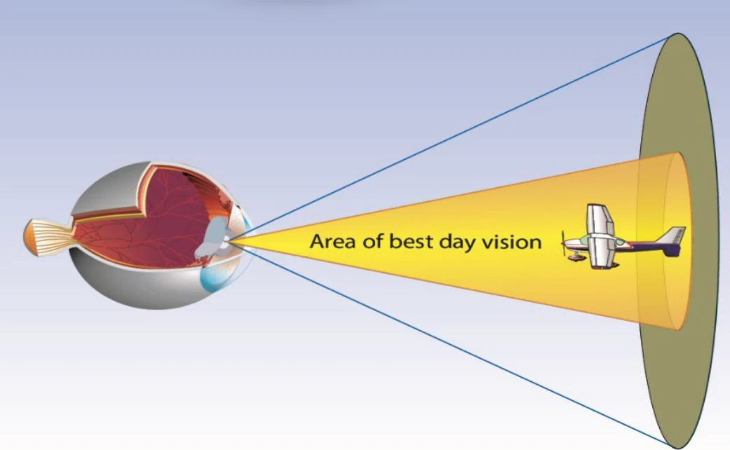 Central Vision.