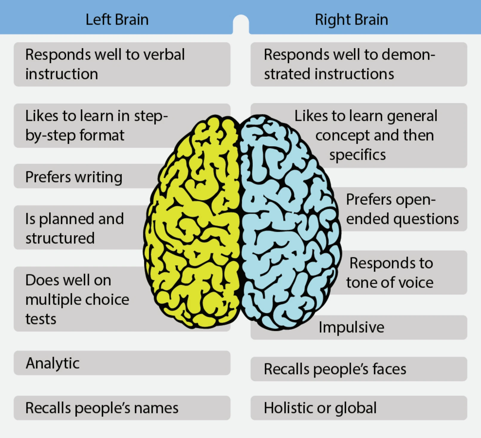 Figure 3-14. The importance of recognizing a dominant brain hemisphere gives the instructor a guide for ways to teach and reinforce learning.