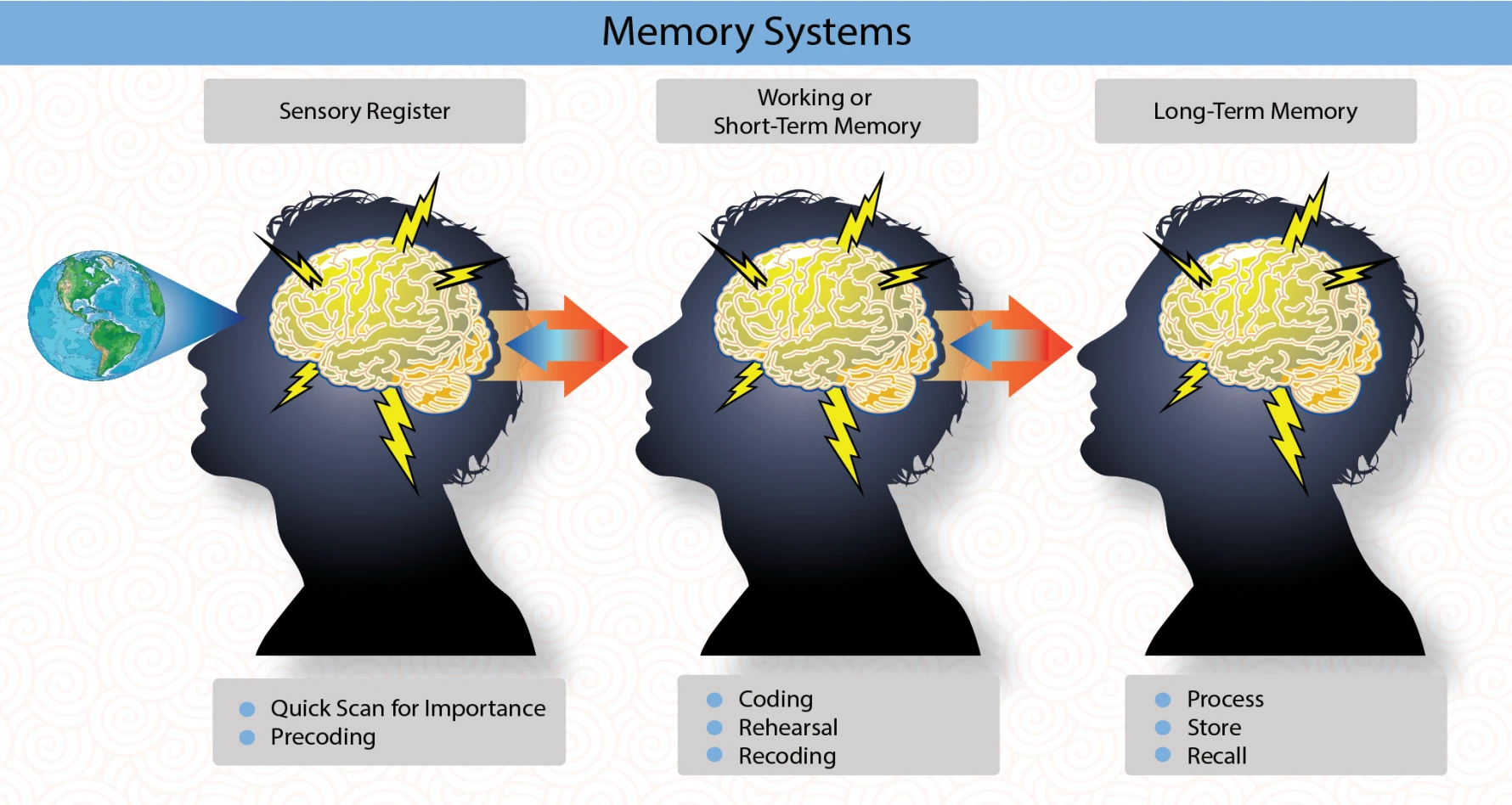 Figure 3-22. Information processing within the sensory register, working on short-term memory, and long-term memory includes complex coding, sorting, storing, and recall functions.
