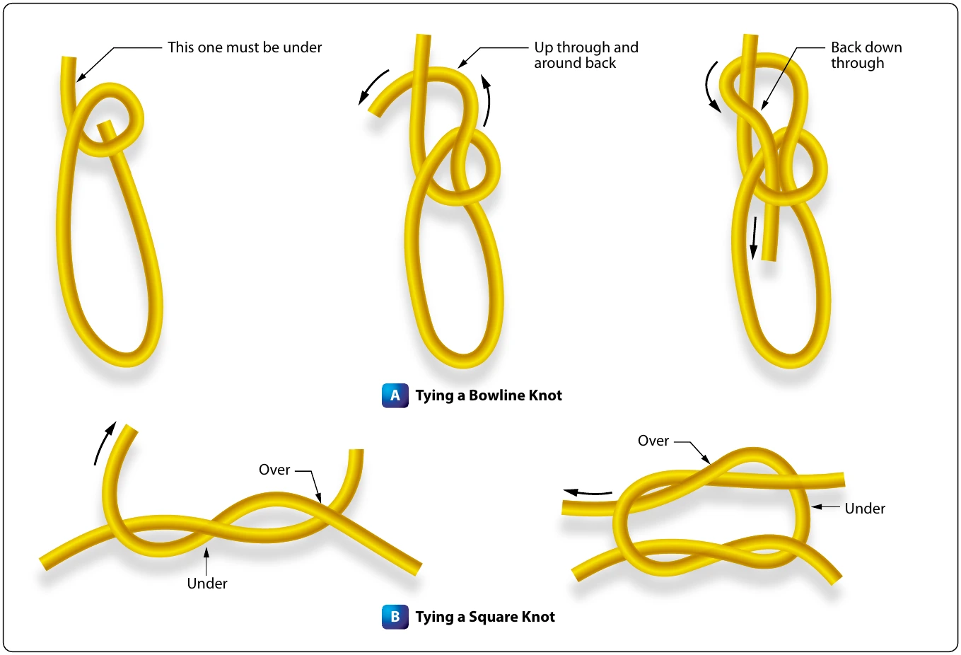 Figure 1-10. Knots commonly used for aircraft tie-down.