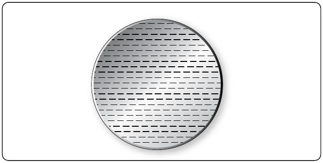 Figure 12-11. Even distribution of charge on metal disk.