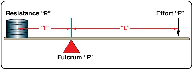 Figure 5-7. First class lever.
