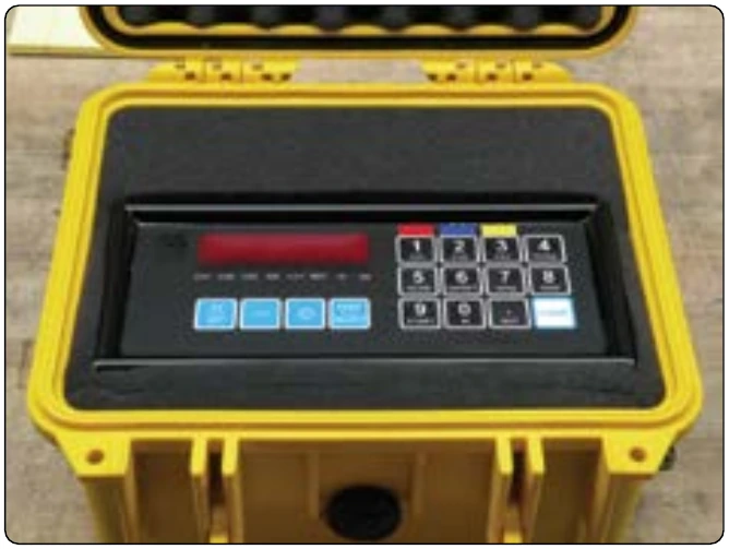 Figure 6-19. M2000 platform scale digital indicator.
