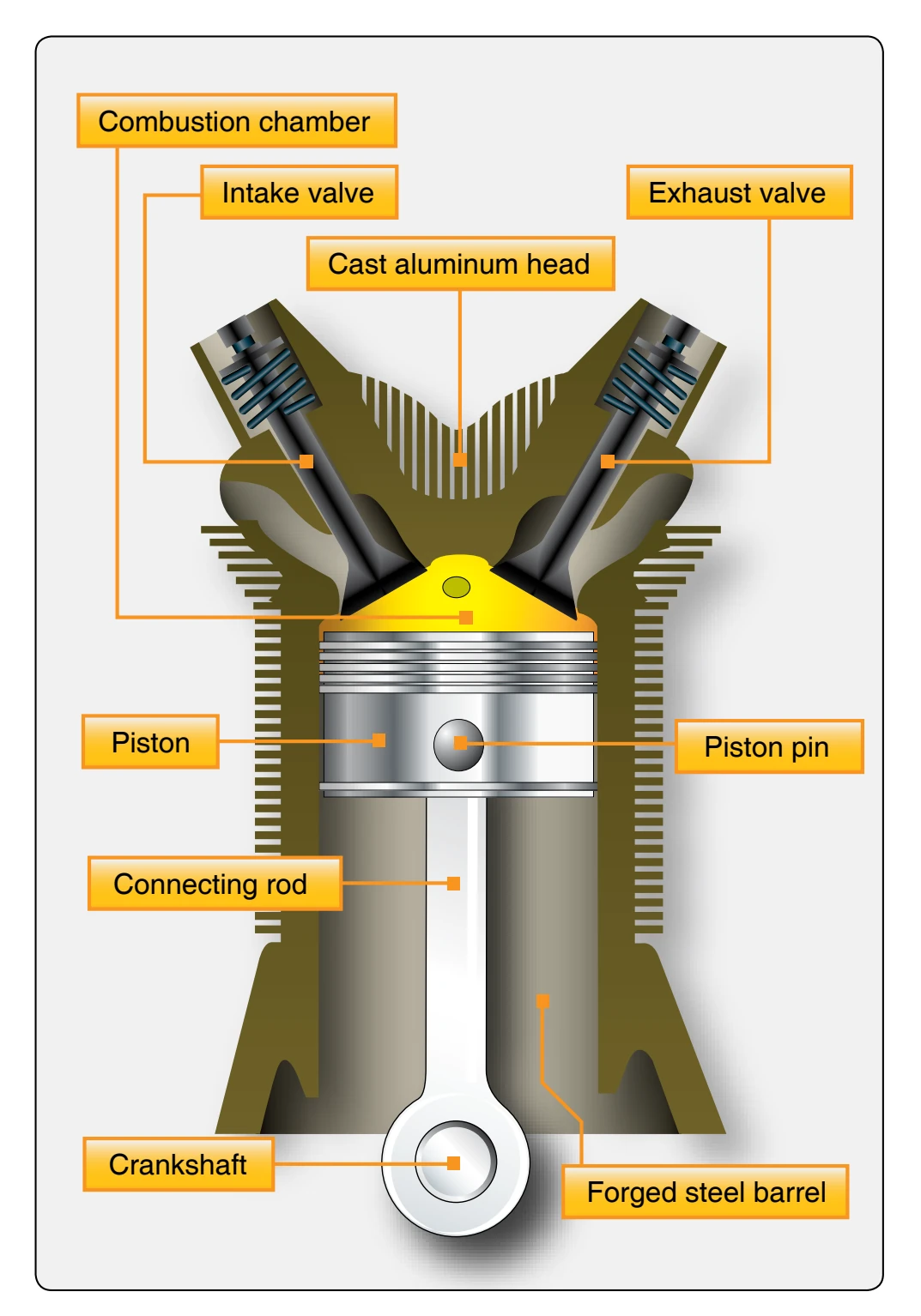 Cutaway view of the cylinder assembly.