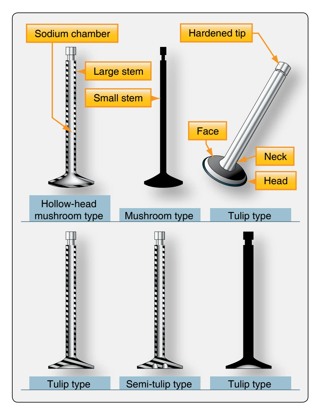 Various valve types.
