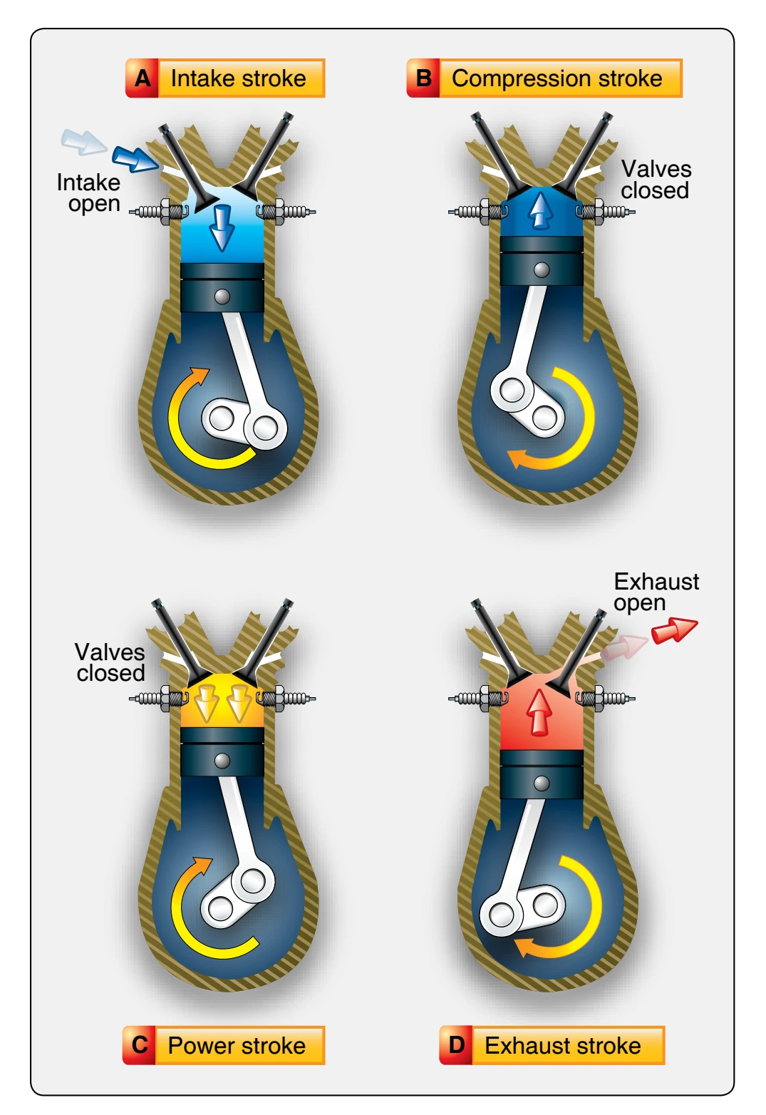 Four-stroke cycle.