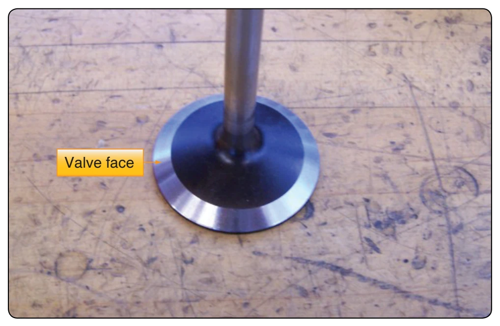 Valve face surface.