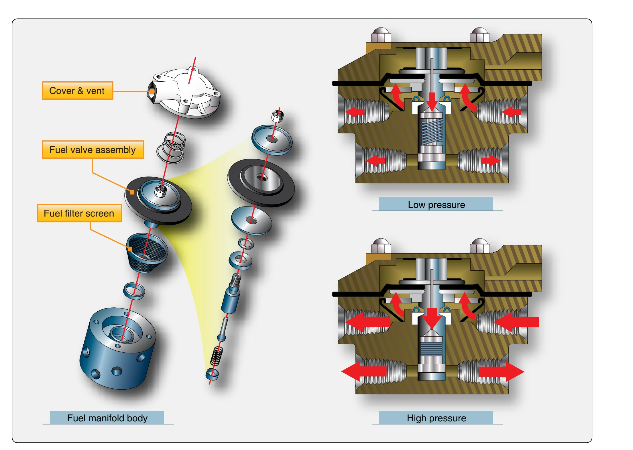 Fuel manifold valve assembly.