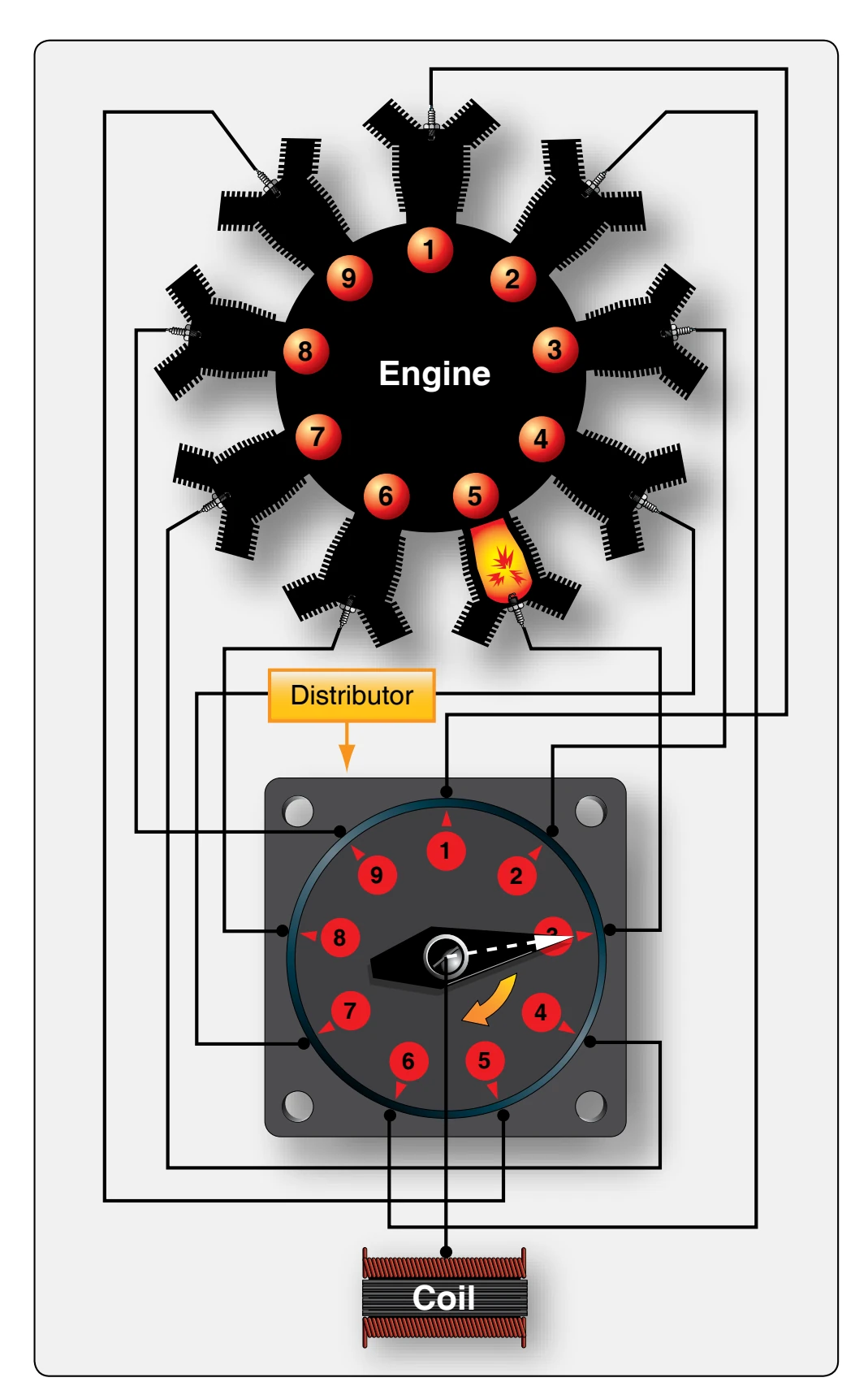 Relation between distributor terminal numbers and cylinder numbers.