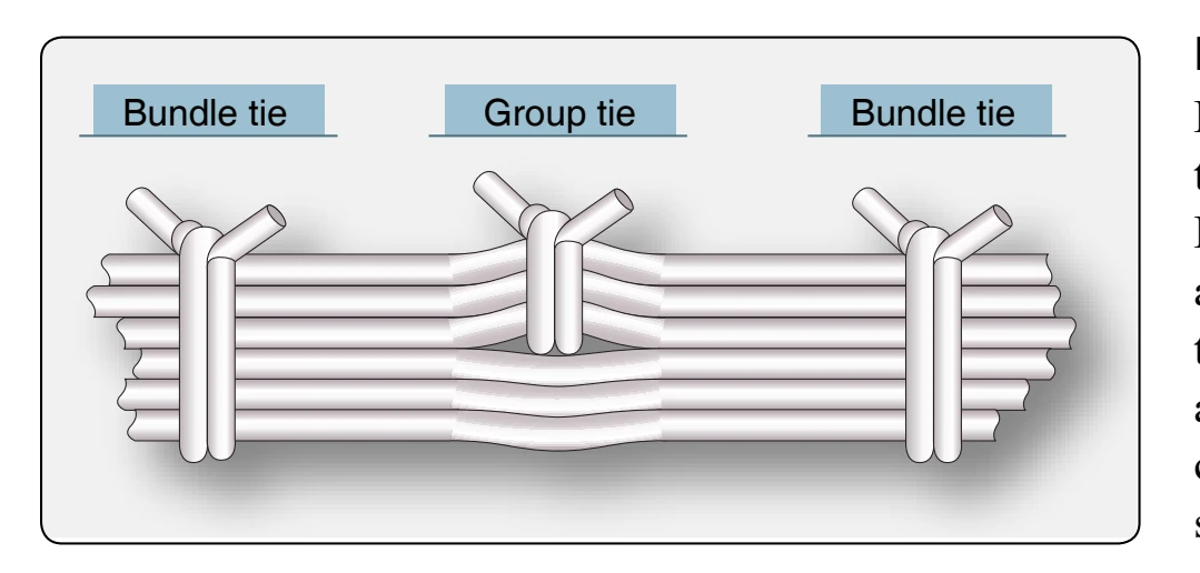 Group and bundle ties.
