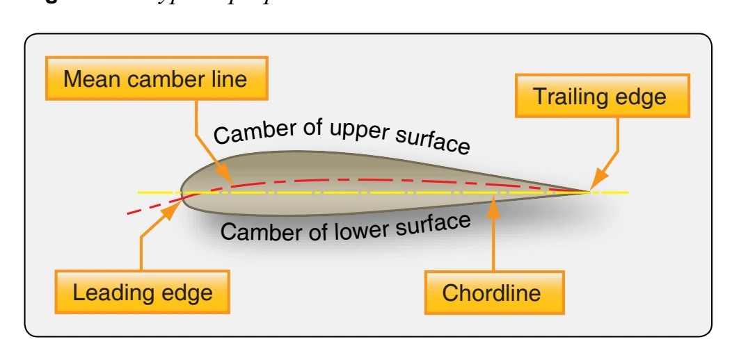 Cross-section of a propeller blade.