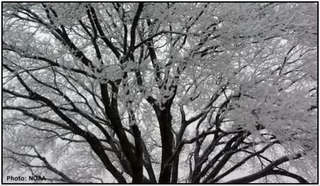 Figure 18-10. Freezing Fog