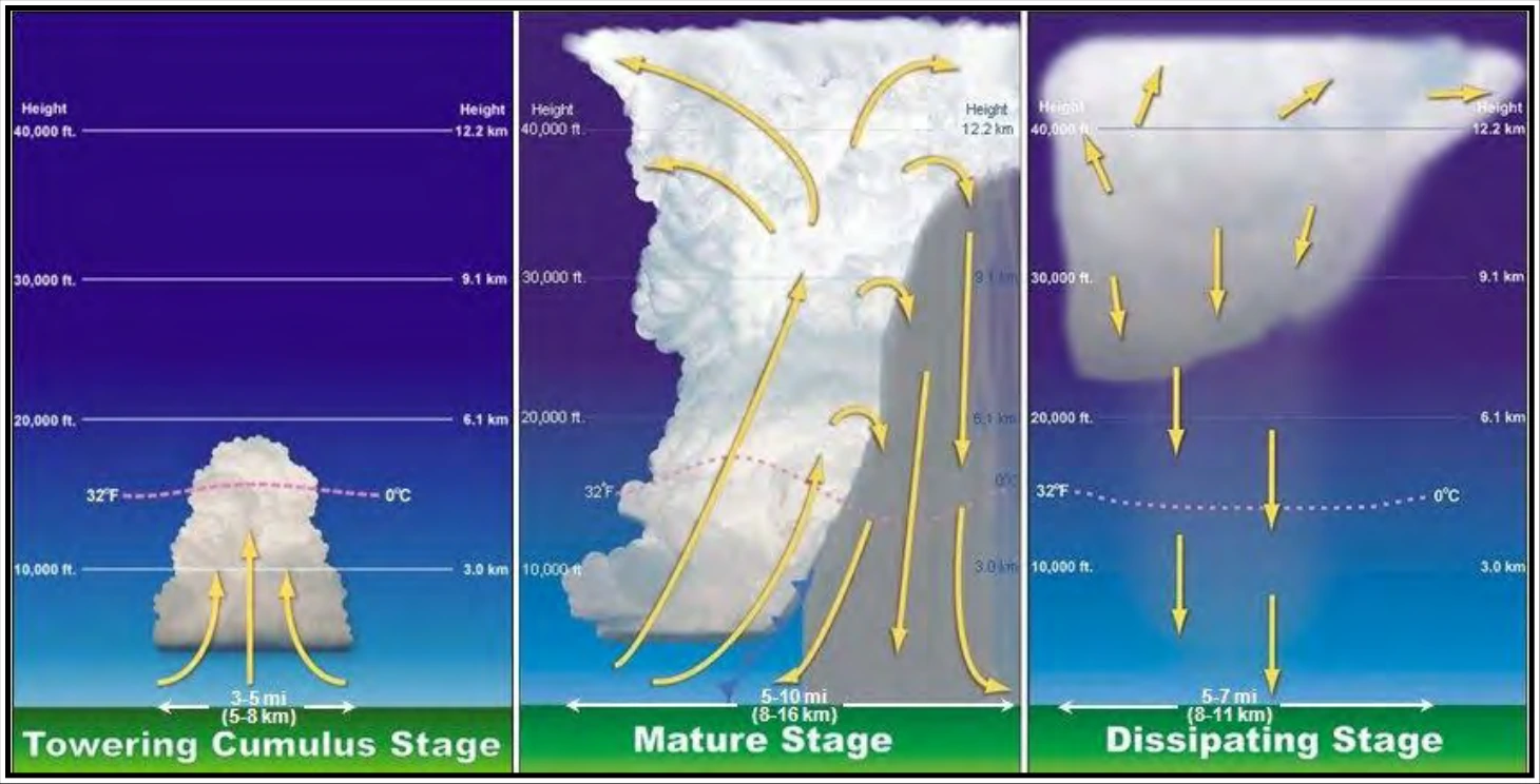 Figure 22-2. Thunderstorm Cell Life Cycle