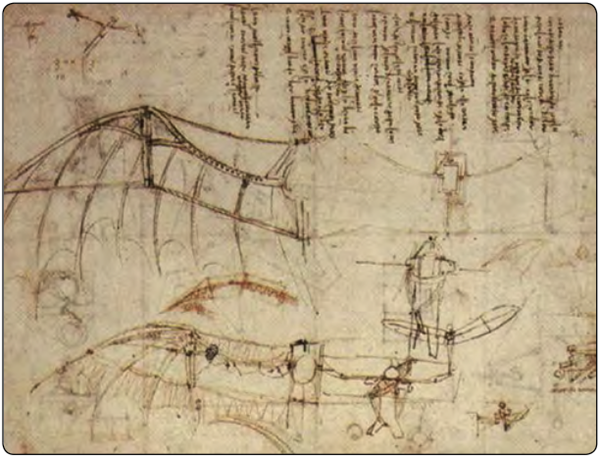 Figure 1-1. Leonardo da Vinci’s ornithopter wings.