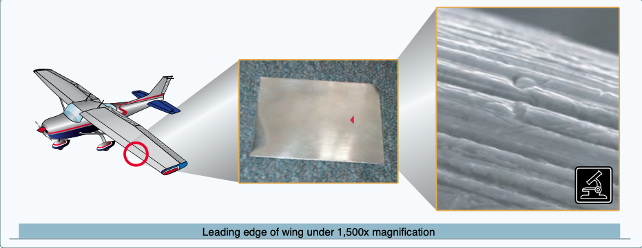 Microscopic surface of a wing.