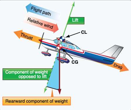 Force vectors during a stabilized climb.