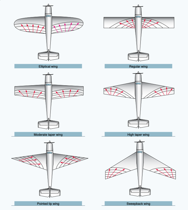 Different types of wing planforms.