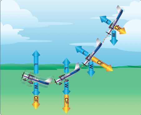 Forces exerted when pulling out of a dive.