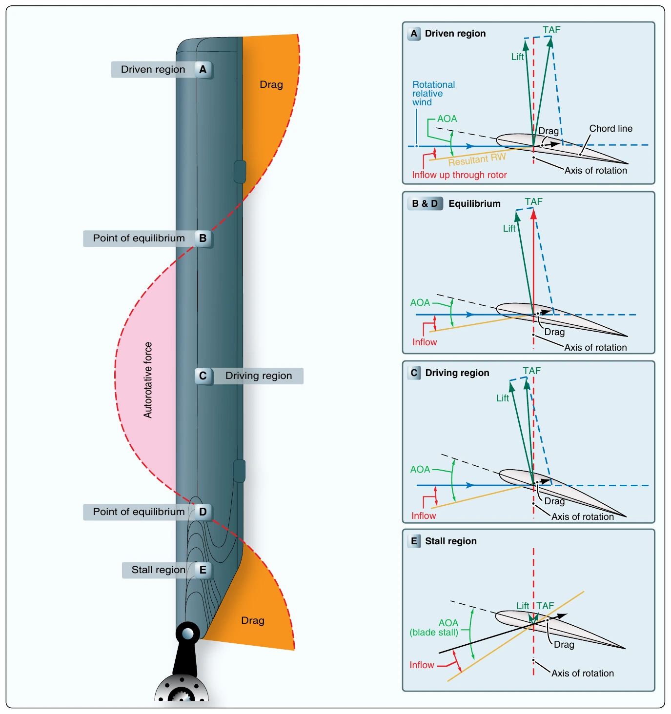 Figure 2-48. Force vectors in vertical autorotation descent.