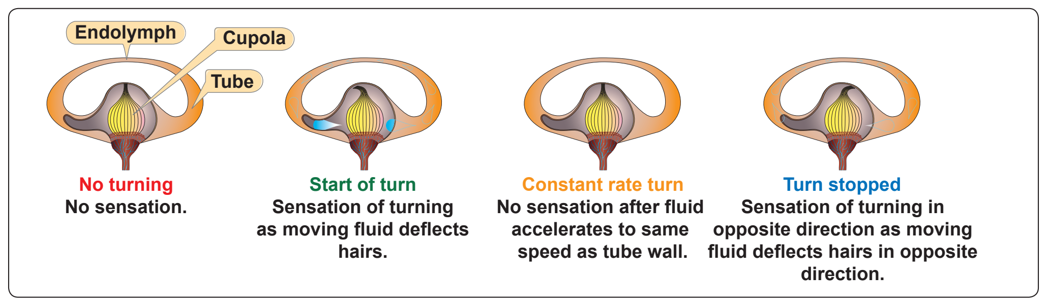 Figure 3-5. Angular acceleration.