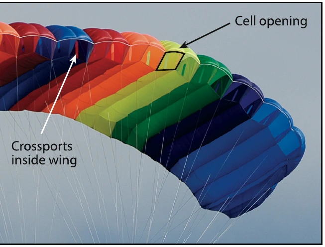 Figure 2-8. Cell openings and cross-port view.