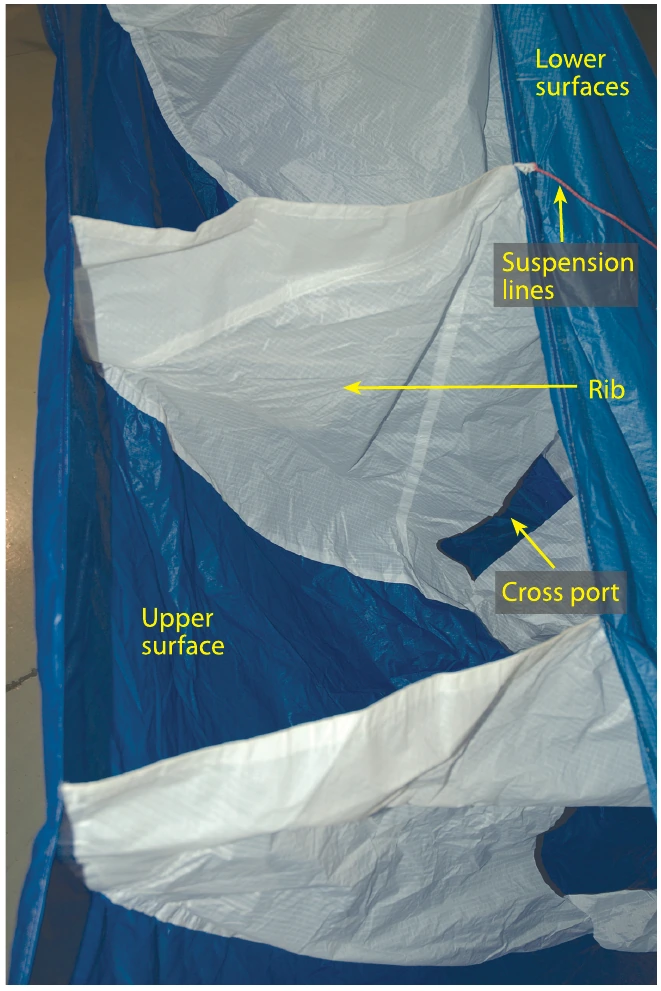 Figure 3-10. Canopy cross-section.