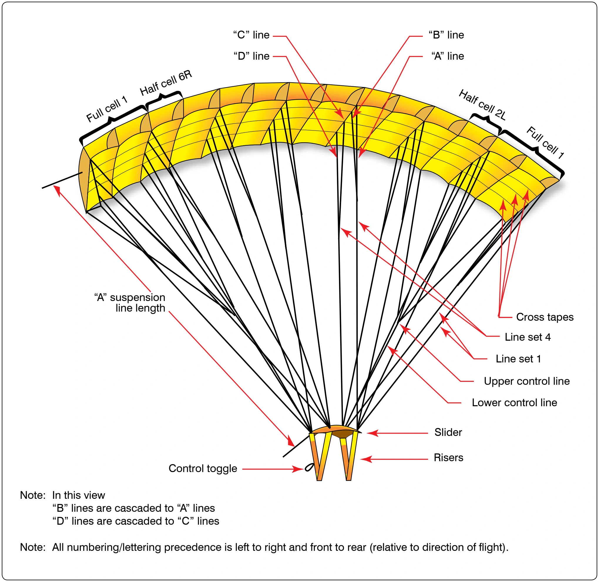 Figure 1. Ram-air canopy line nomenclature.