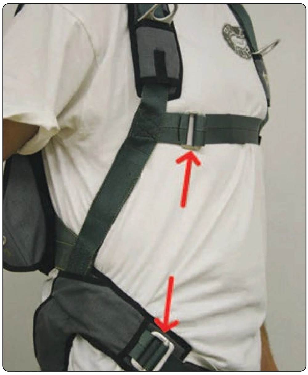 Figure 2-16. Standard piggyback harness.