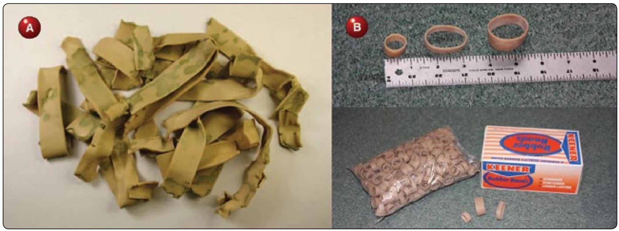 Figure 2-31. A) Old rubber bands and B) new rubber bands. They come in 3 sizes: 3⁄8" wide × 1¼" diameter, 3⁄8" wide × 2" diameter and ¾" wide × 2" diameter.