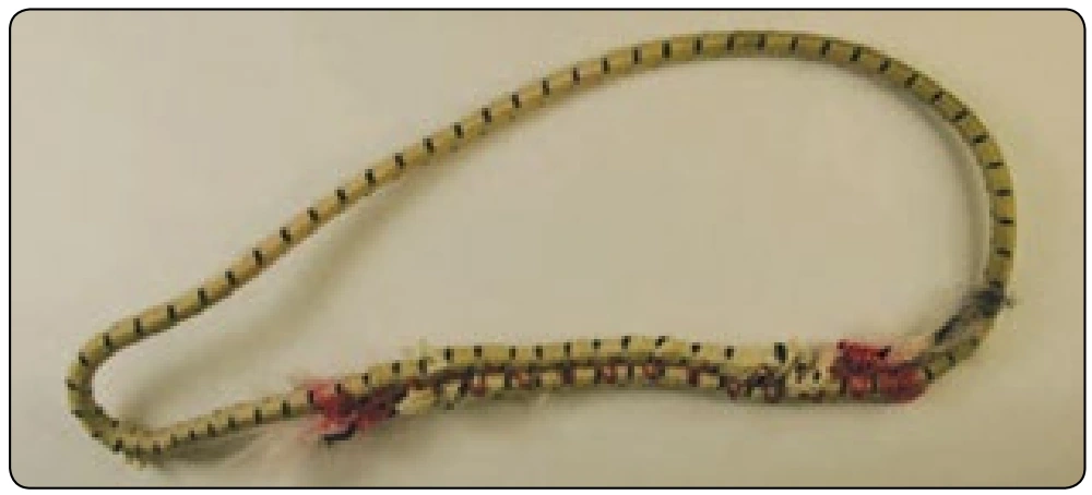Figure 2-32. Bad Safety Stow®.