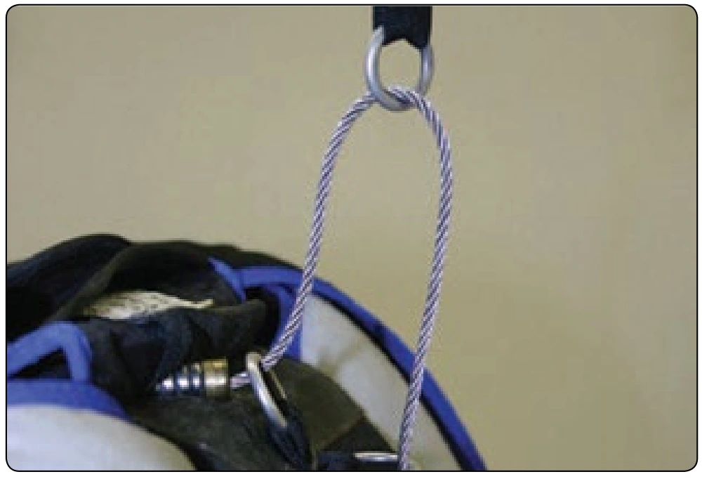 Figure 2-59. RSL lanyard extension.