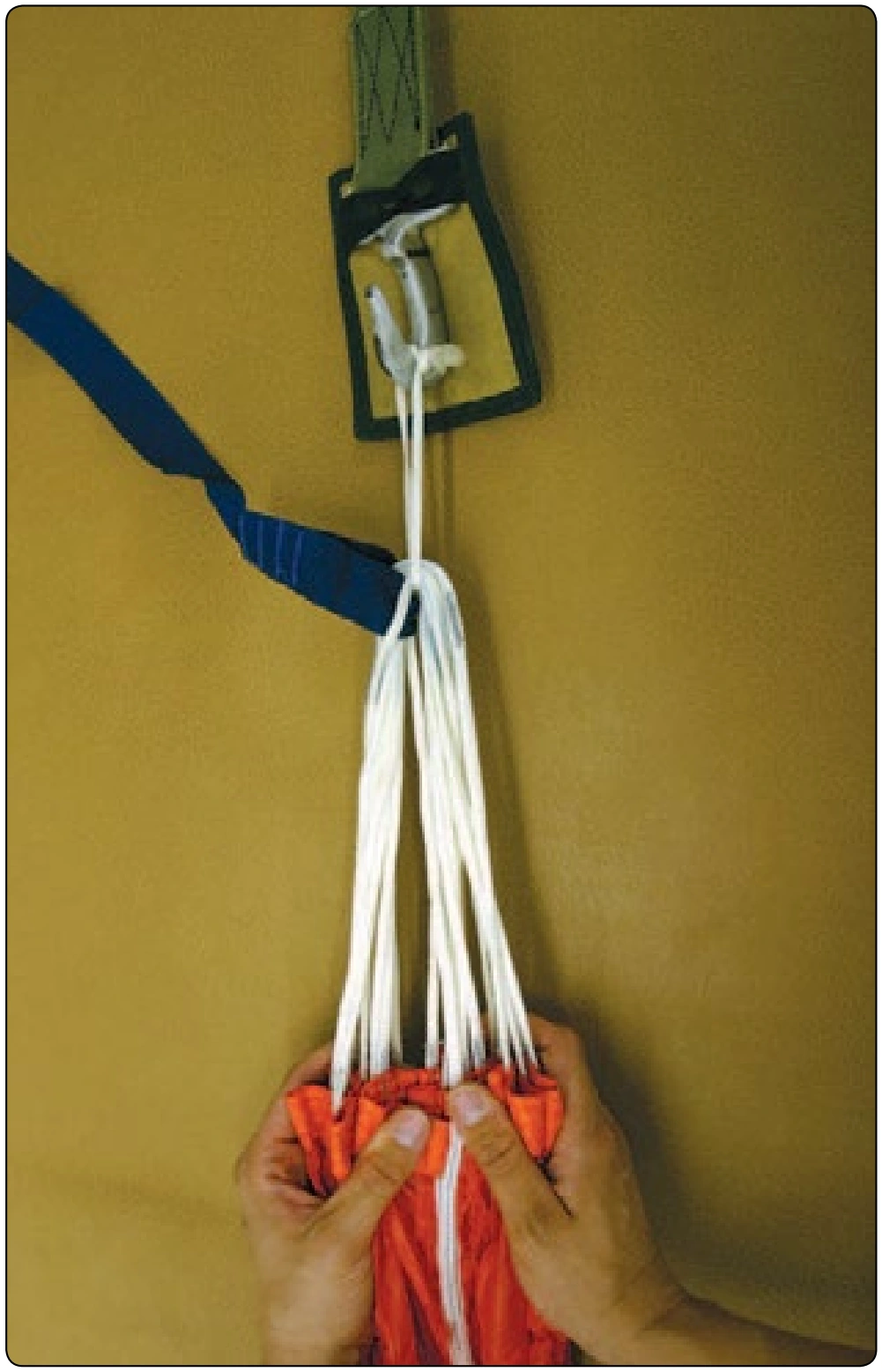 Figure 5-34. Straightening the canopy apex.