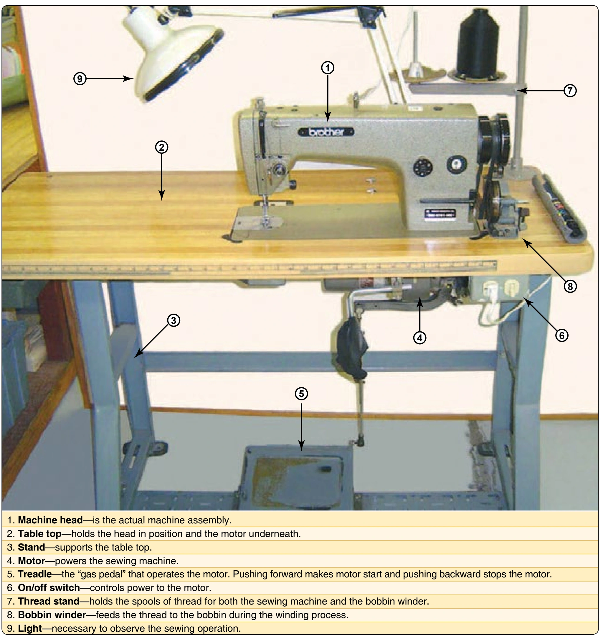 Figure 6-67. Front view of a modern, light-duty, single-needle machine.