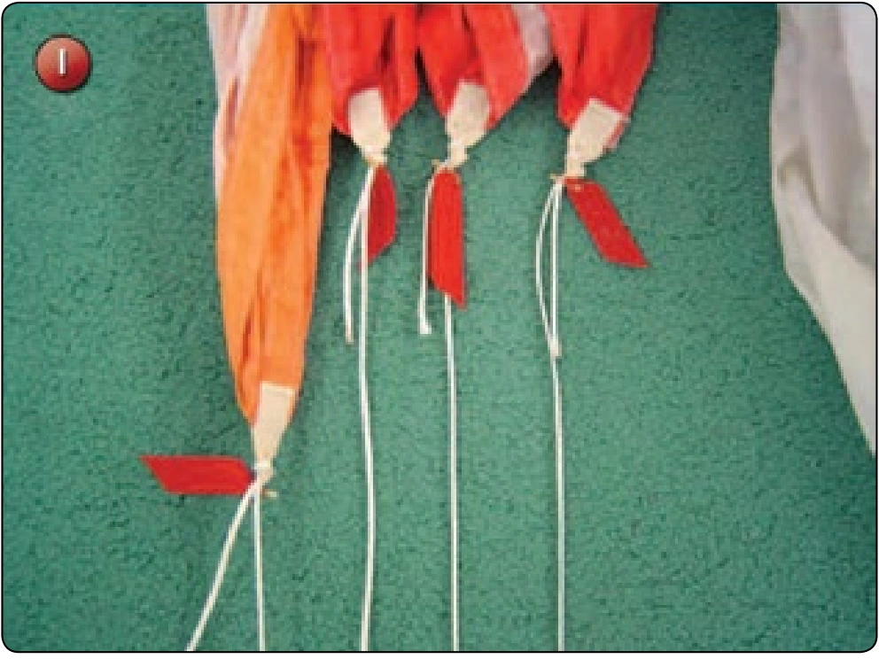 Square Canopy—Control Line Replacement, procedure photograph 8 (source page 7-35).