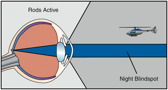 Figure 13-4. In low light, the cones lose much of their visual acuity, while rods become more receptive. The eye sacrifices sharpness for sensitivity. Your ability to see an object directly in front of you is reduced, and you lose much of your depth perception, as well as your judgment of size.