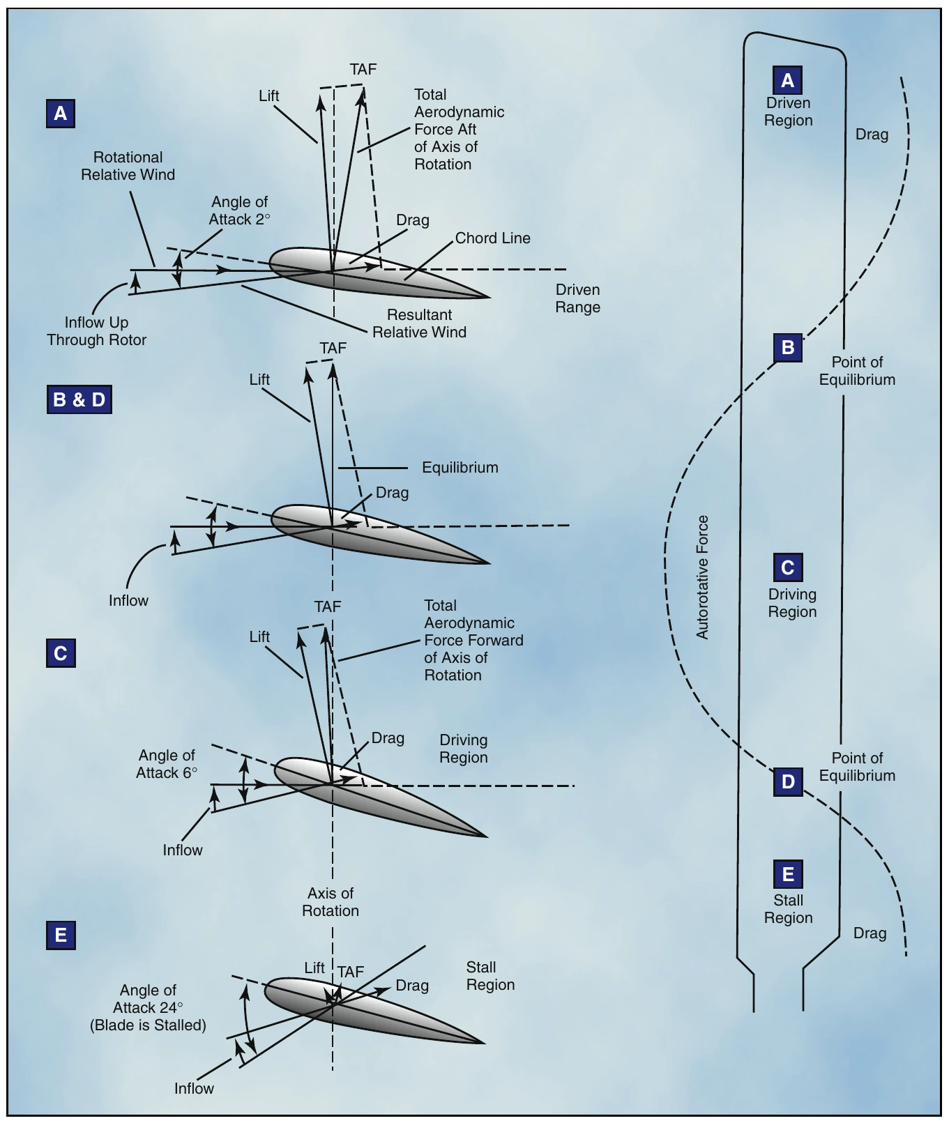 Figure 3-22. Force vectors in vertical autorotation descent.