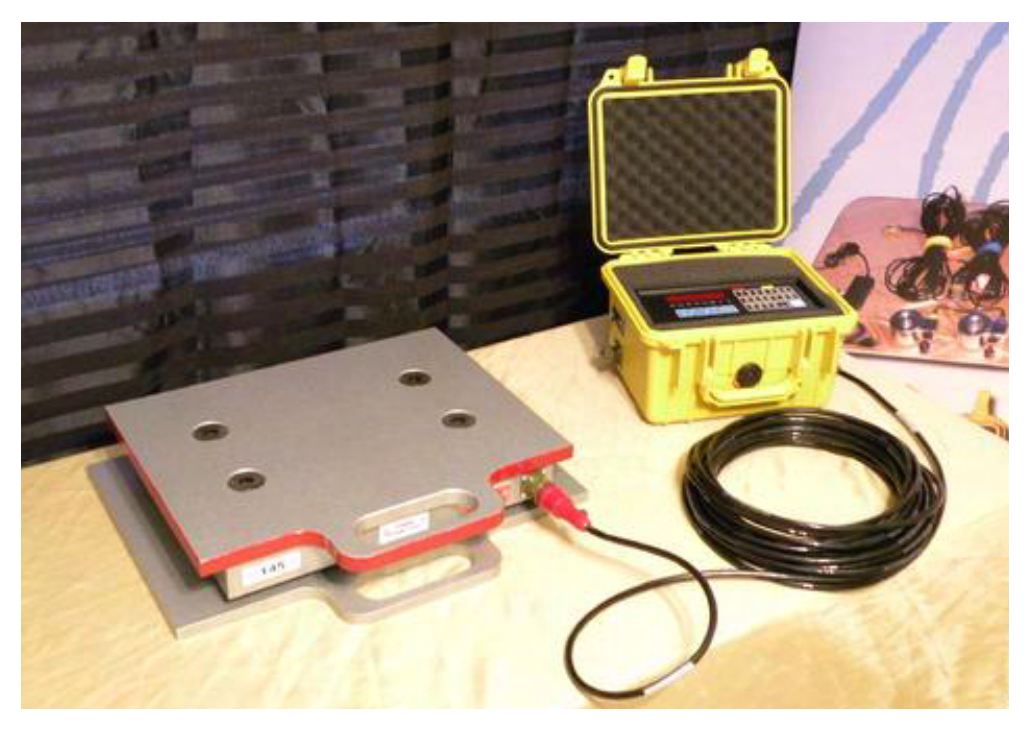 Figure 3-1. Platform scales.